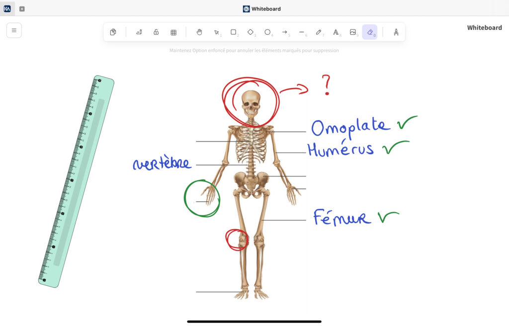 Application pour écran interactif